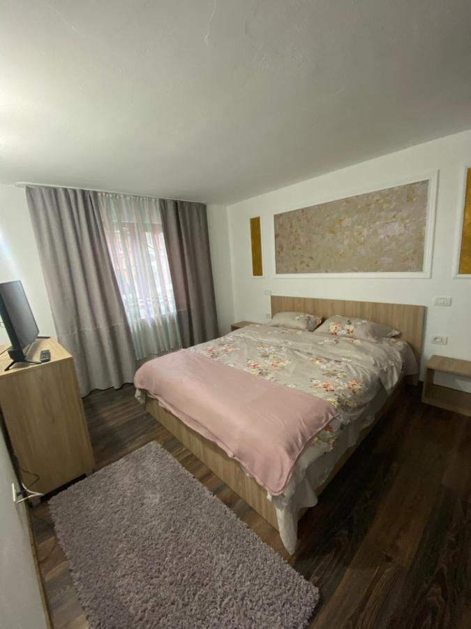 Vila Sorina บอร์ชา ภายนอก รูปภาพ