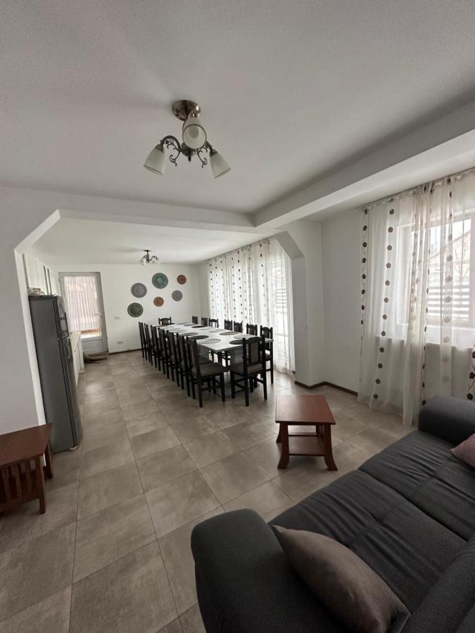 Vila Sorina บอร์ชา ภายนอก รูปภาพ
